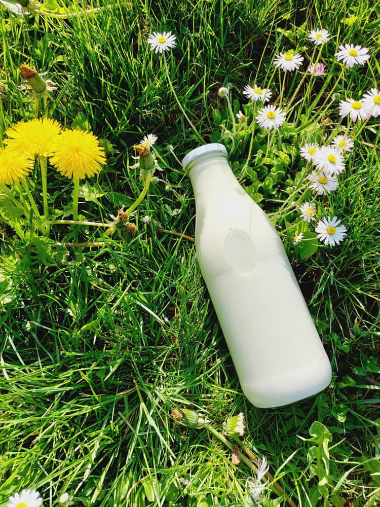 milchprodukte flasche